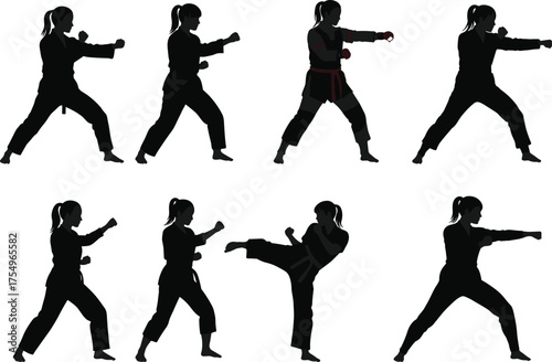 Martial arts silhouettes, karate fighters, taekwondo poses, kickboxing training, combat stances, self defense practice, martial artist illustration, sports action vector
