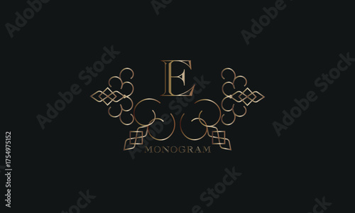 Vector elegant element for design template, place for text with initial letter E. Lace decor for greeting card, invitation, label, business sign.