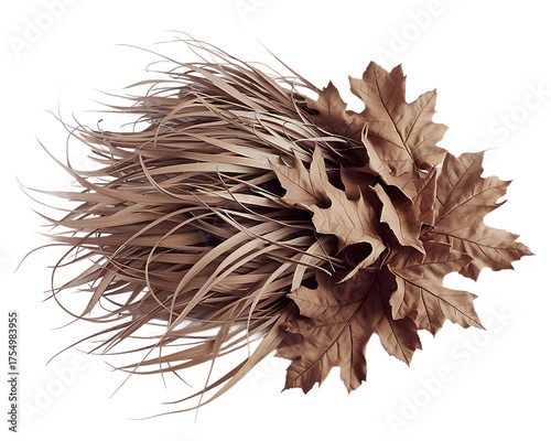 3d photorealistic arrangement of dried flowers feathers and autumn leaves for decorative display isolated on transparent background
