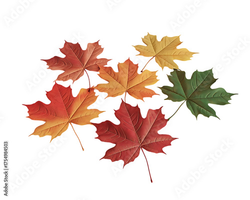 Realistic 3d render of five autumn maple leaves in vibrant red yellow orange and green hues floating isolated on transparent background