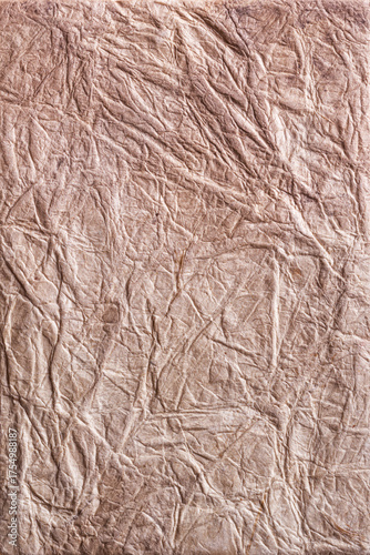 Wallpaper Mural Textured brown wrinkled handmade paper background. Vertical background for design Torontodigital.ca
