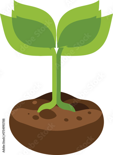 Sprout Emerging From Soil A Symbol of Growth and Life.