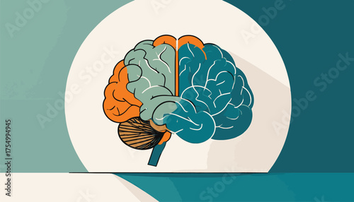 human brain vector illustration