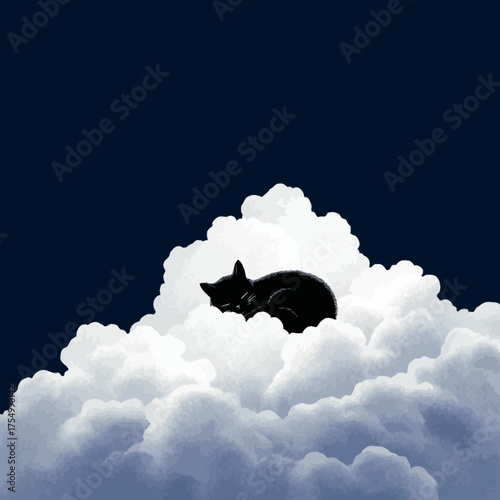 A black cat rests peacefully curled up on a white fluffy cloud under a dark sky