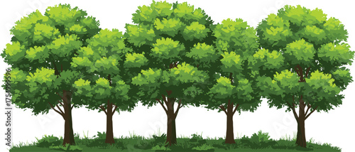 Cartoon-style forest tree line with five lush green trees and grassy foreground, ideal for nature backgrounds, eco designs, spring themes, and digital illustration projects