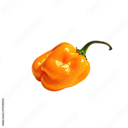Bright orange pepper against black background, showing its textured, vibrant exterior