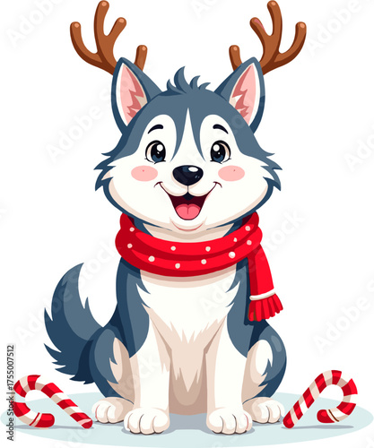 Happy husky dog wearing reindeer antlers and red scarf smiling joyfully celebrating christmas on a white background