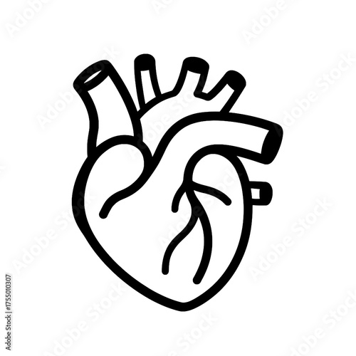 Anatomical Heart Line Icon Vector
 
 
 