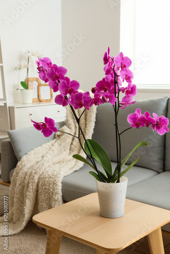Orchid flower on table near...