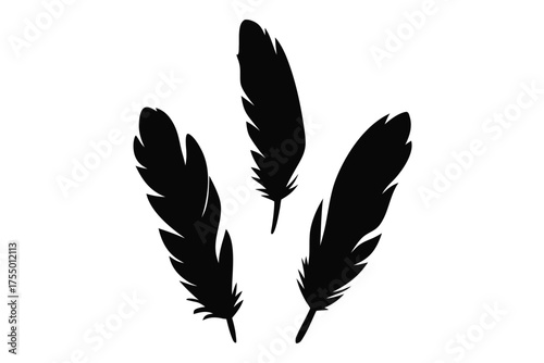 Bird feather silhouette vector, Feather icon, Black quill feather silhouette