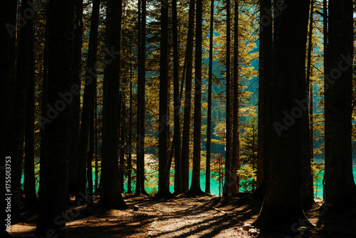 Sunlight filtering through tall pine trees in a dense forest with turquoise lake water glowing in the background, creating a calm and mysterious atmosphere