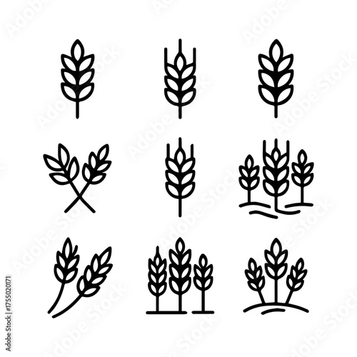 set of outline icons ears of corn vector on a white background
set of 9 line icons, vector, on a white background