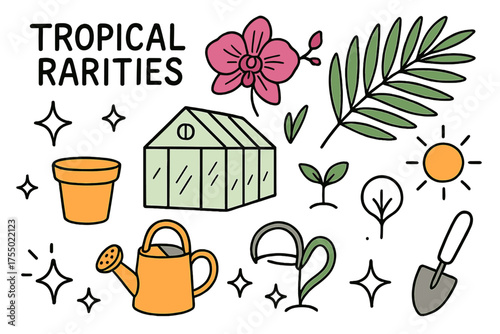 Tropical Greenhouse Doodle. Tropical Rarities. Hand-drawn doodle illustration orchid (colored), palm leaf (colored), greenhouse (colored), sparkle, star, pot,