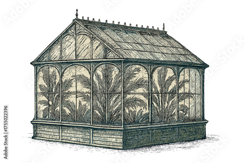 Vintage Greenhouse Illustration. Greenhouse vintage engraving illustration, detailed etching style, monochrome ink drawing, 19th-century glasshouse with