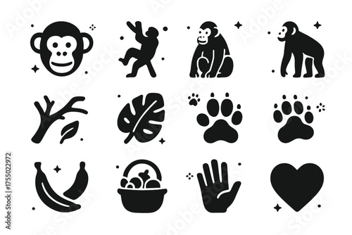 Chimp Jungle Icons. Chimp in jungle. Solid icons set of Chimp in jungle: chimp face, climbing chimp, sitting chimp, full chimp body, tree branch, jungle leaf,