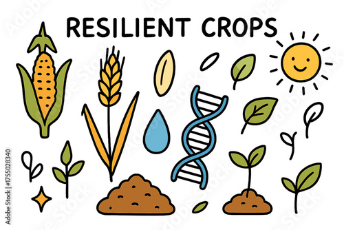Resilient Crop Elements. Resilient Crops. Hand-drawn doodle illustration corn plant (colored), wheat stalk (colored), rice grain, DNA helix (colored), water