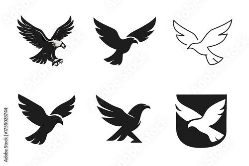 Eagle Logo Variations. Animal Instincts and Survival in the Wild. Set Logo of Animal Instincts and Survival in the Wild: eagle in flight. harmonious logo