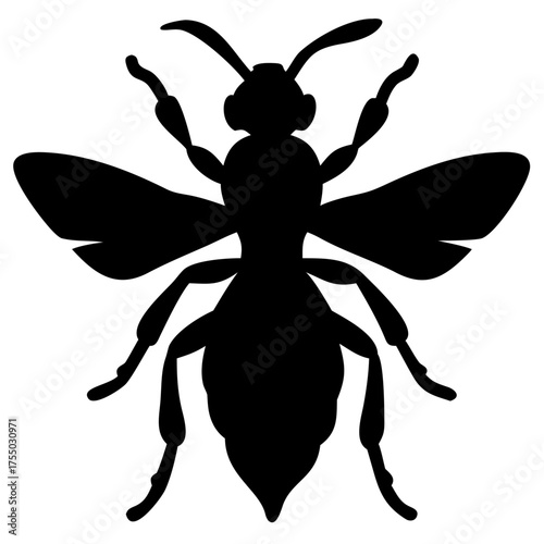 Wasp silhouette vector illustration