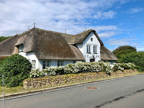 Historisches Reetdachhaus auf der Nordseeinsel Föhr, umgeben von blühenden Rosen und Steinmauer bei sonnigem Wetter – typisches friesisches Inselhaus mit traditionellem Charme.