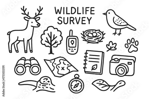 Wildlife Survey Doodles. Wildlife Survey. Hand-drawn doodle illustration Wildlife Survey animal bird paw print tree nest tracker notebook binoculars camera map