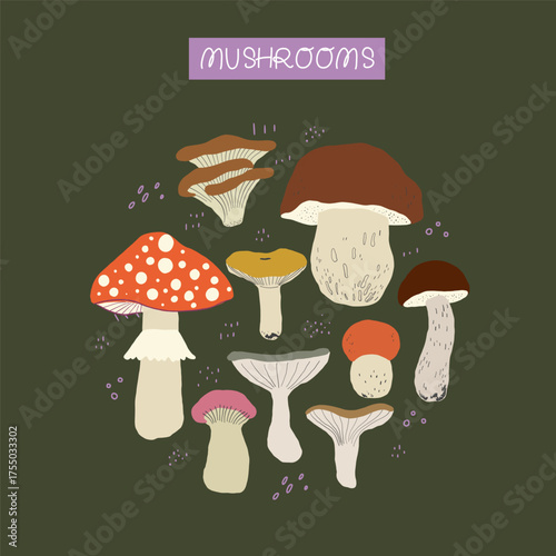 Circle shape composition made of hand drawn autumn forest mushrooms isolated on dark green background. Round set of fall botanical fungi elements. Vector clipart.