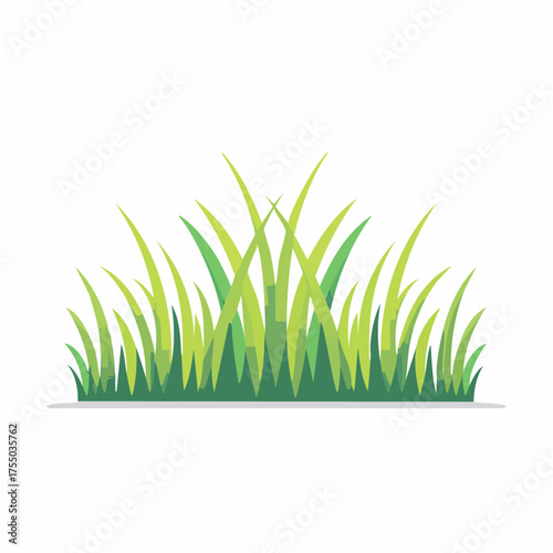 A vibrant illustration of a patch of green grass, showcasing detailed blades and a natural aesthetic.