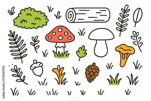 Mushroom Doodle Habitat. Mushroom Habitat. Hand-drawn doodle illustration moss patch (colored), log, amanita (colored), boletus, chanterelle (colored), fern,