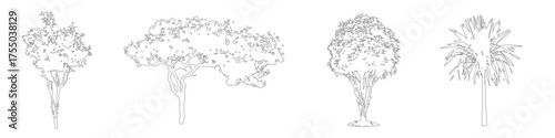 Architectural CAD tree line drawings, side view vector trees in minimal outline style for landscape and design drawings