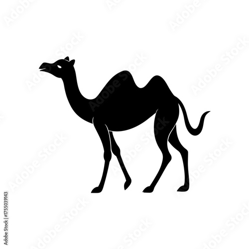 Silhouette of a single camel on transparent background