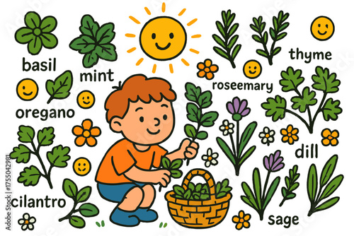 Herb Gathering Joy. Herb Picking. Colorful Hand-drawn doodle Children illustration child picking basil, mint, rosemary, thyme, parsley, oregano, cilantro,