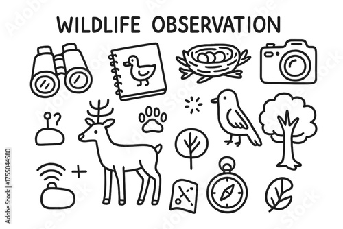 Wildlife Observation Essentials. Wildlife Observation. Hand-drawn doodle illustration Wildlife Observation binoculars notebook camera animal bird paw print