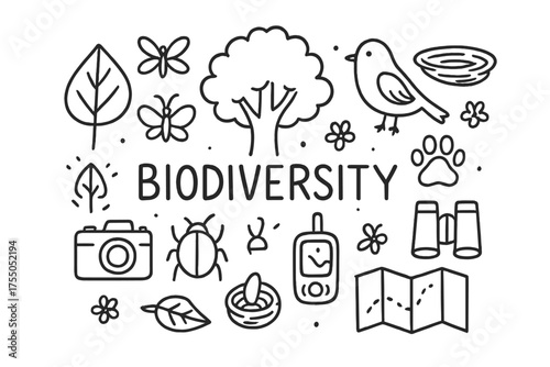 Biodiversity Icons Doodle. Biodiversity. Hand-drawn doodle illustration Biodiversity tree leaf animal bird insect paw print nest camera binoculars tracker map.