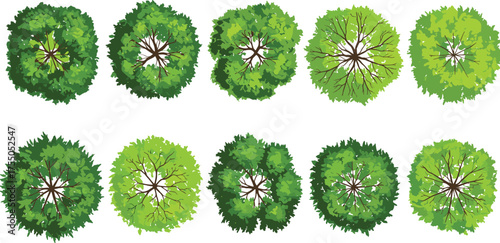 Ten top-down views of green tree canopies with visible branches, perfect for architectural plans, landscaping designs, game assets, and nature-themed digital compositions