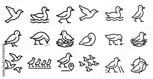 Bird watching icons set – line, outline, avian and wildlife nature symbols