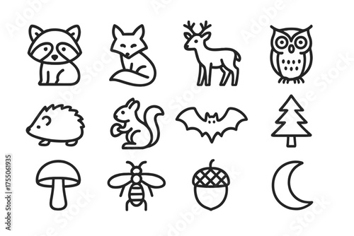 Evening Woodland Icons. Evening woodland animals. Line icon set of Evening woodland animals: raccoon, fox, deer, owl, hedgehog, squirrel, bat, pine tree,