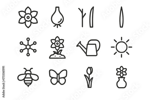 Wild Daffodil Icons. Wild daffodils. Line icon set of Wild daffodils: daffodil flower, bulb, stem, leaf, pollen, garden soil, watering can, sun, bee,