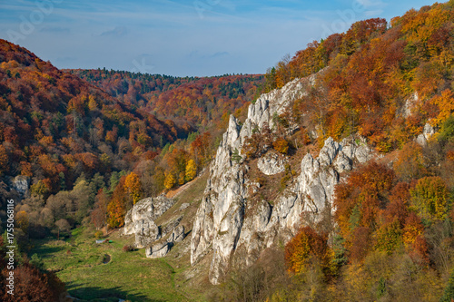 Dolina Prądnika