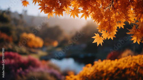 Golden autumn landscape with falling maple leaves, warm sunlight through trees, peaceful park scene, vibrant orange and yellow colors autumn landscape, golden leaves, fall foliage,