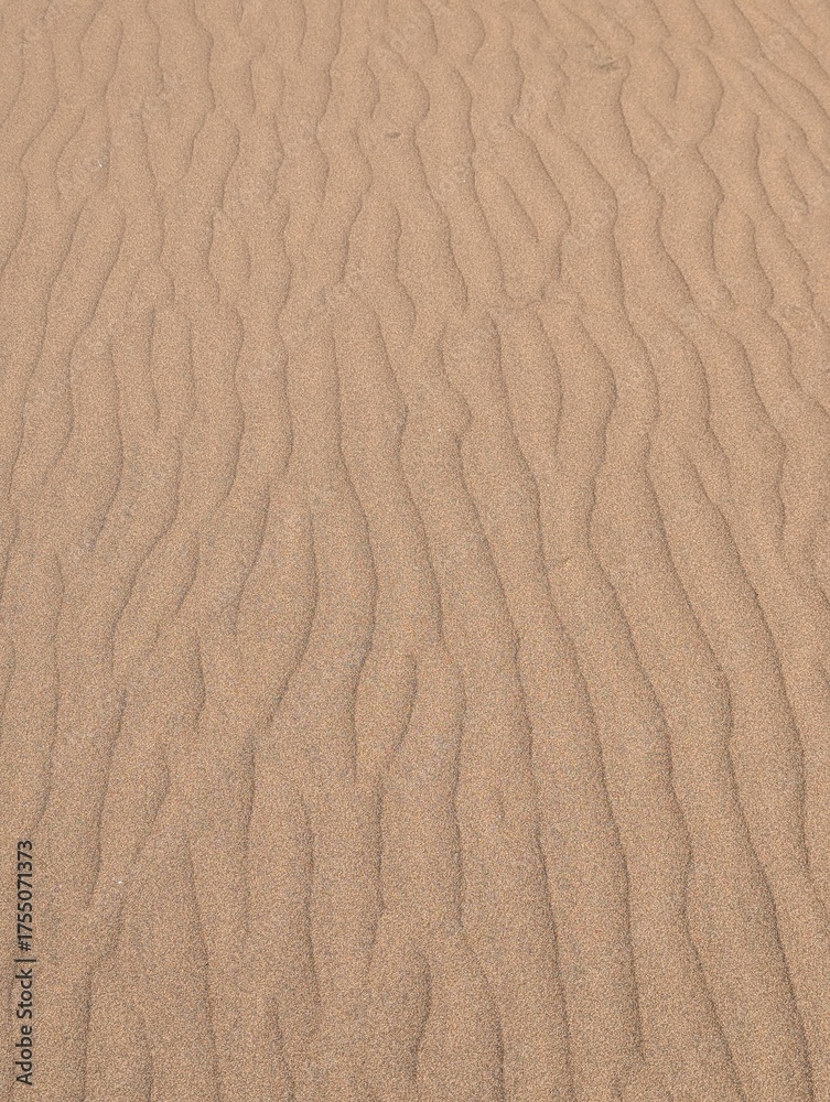 Obraz premium Horizontal close-up view of hot yellow desert sand with visible wind patterns and natural dune lines. Ideal for travel backgrounds, nature textures, adventure concepts, and desert landscape design.