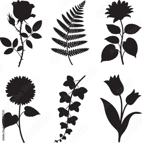 Botanical Silhouettes Collection Featuring a Rose Fern Sunflower and Other Flower and Plant Outlines in Black and White