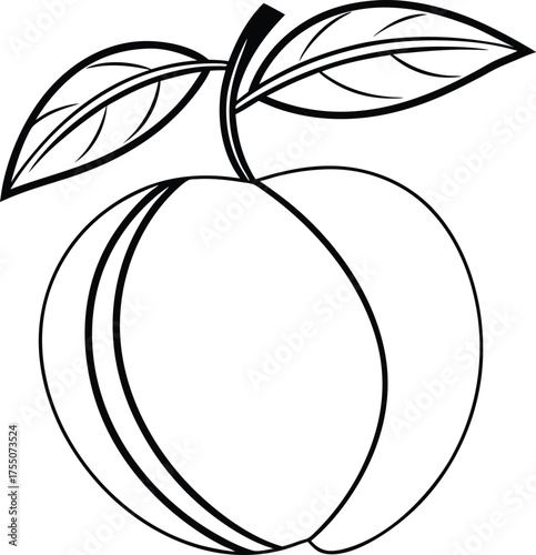 Peach fruit with leaves and stem food