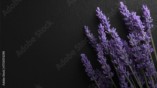 A group of vibrant purple blooms rests atop a dark background wall, adjacent to a vase filled with similar-colored blossoms