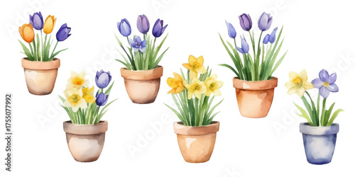 Spring watercolor composition with flowers in pots. Tulips, daffodils and crocuses in warm tones. Flower pots of various shapes, soft pastel colors, hand-painted style. Perfect for spring cards