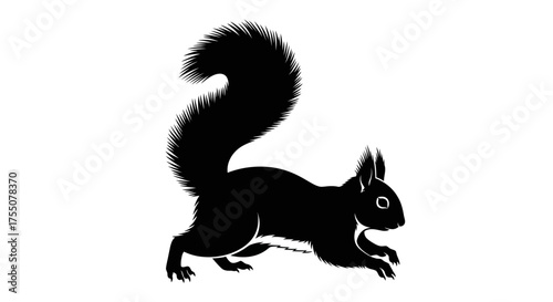 Black squirrel is running across the ground