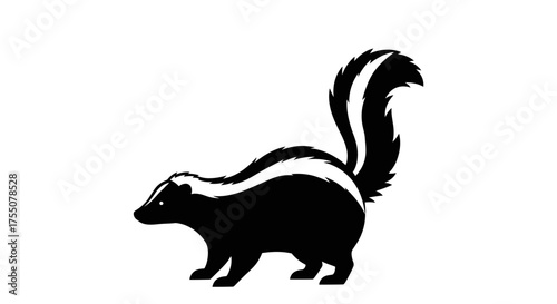Skunk with white stripes in black and white
