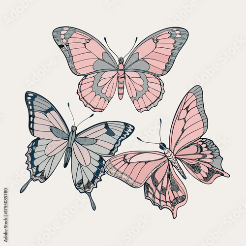 Wallpaper Mural Orange and Black Butterfly Resting on Leaf Torontodigital.ca