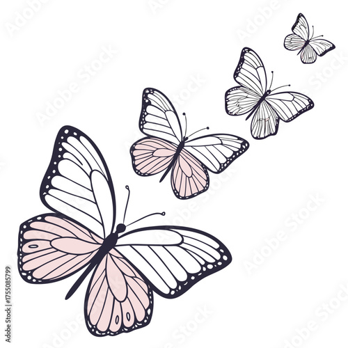 Wallpaper Mural White Butterfly on Green Background Torontodigital.ca