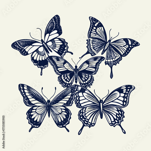 Wallpaper Mural Orange Monarch Butterfly Close-Up Torontodigital.ca