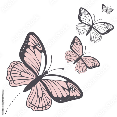 Wallpaper Mural Minimal Butterfly Outline Illustration Torontodigital.ca