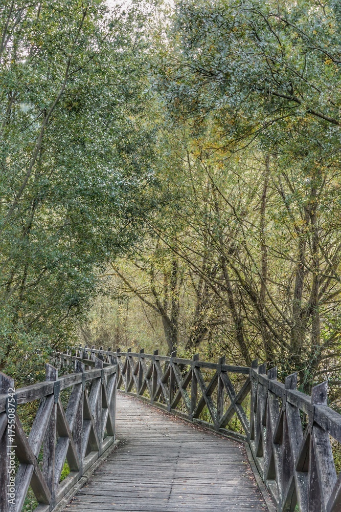 Fototapeta premium Lago di posta fibreno